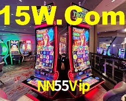 NN55Vip App Interface
