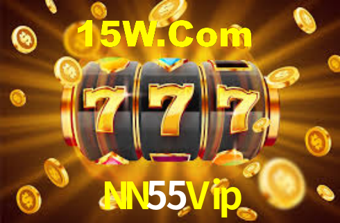 NN55Vip - Installation Guide