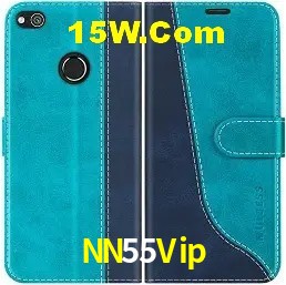 Segurança 2FA NN55Vip